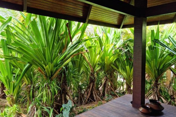 Zorah Beach Hotel (Trairi)